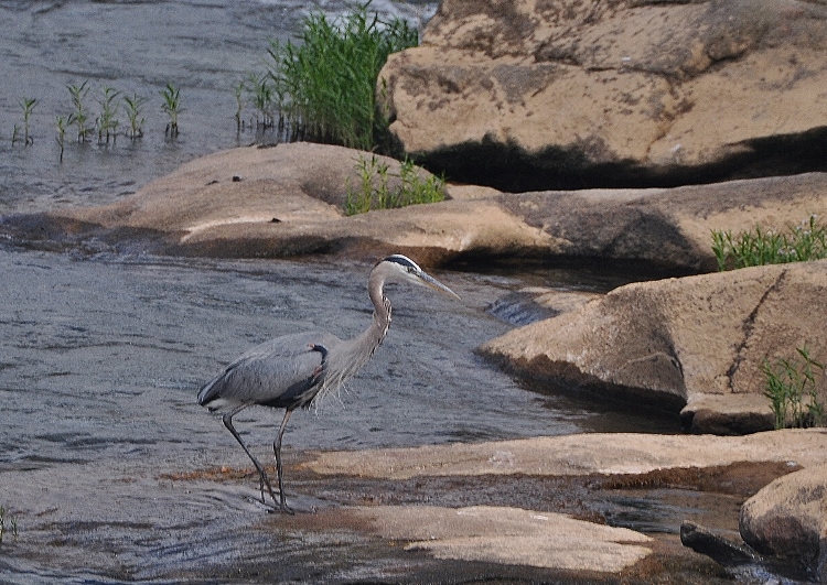 riverwalk